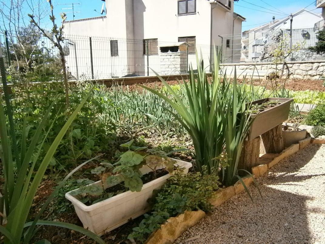 Apartman שיבניק מראה חיצוני תמונה